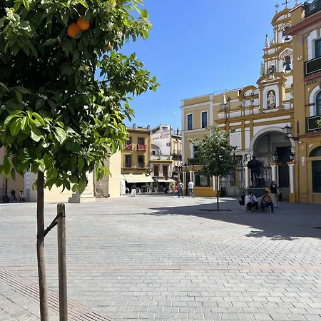 Center - Aloha Sevilla